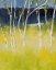 Picture of BIRCHES