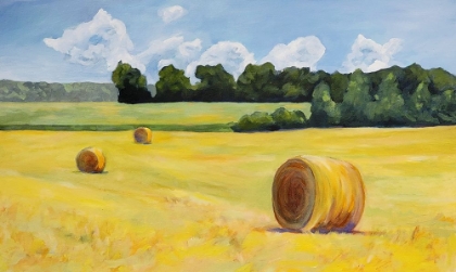 Picture of SUMMER HAY BALES