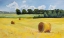 Picture of SUMMER HAY BALES