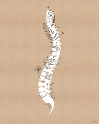 Picture of SPINE