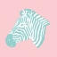 Picture of SWEET ZEBRA