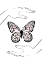 Picture of HOLDING BUTTERFLY