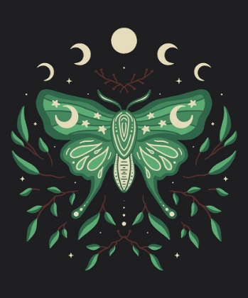 Picture of CELESTIAL MOTH BLOOM
