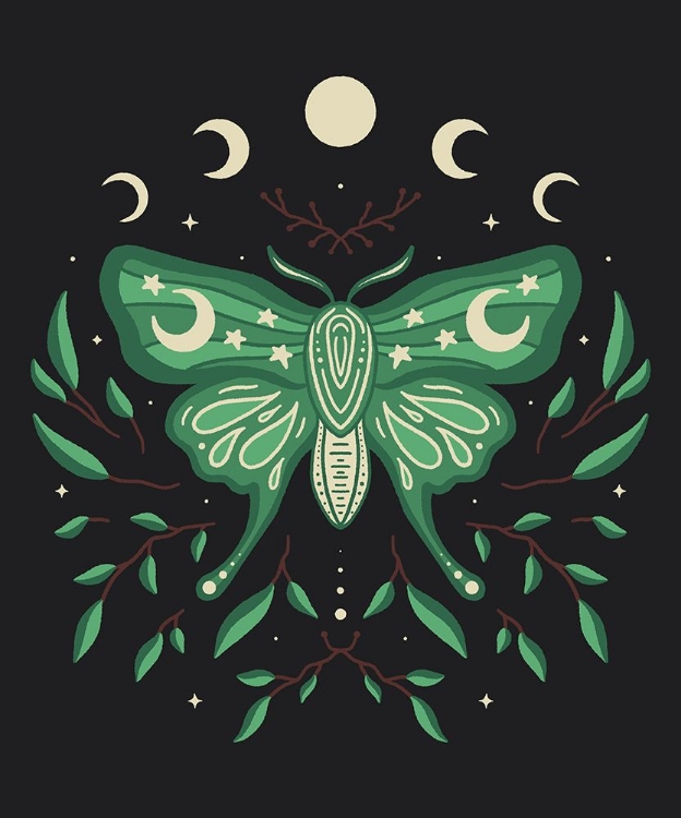 Picture of CELESTIAL MOTH BLOOM