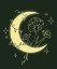 Picture of MOON   SHROOMS
