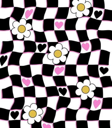 Picture of CHECKERBOARD DAISY