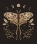 Picture of CELESTIAL LUNA MOTH