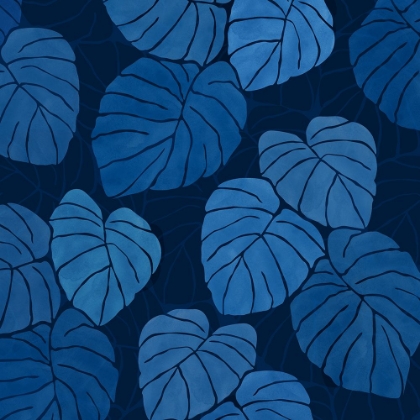 Picture of BLUE MONSTERA