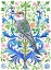 Picture of NORTHERN FLICKER