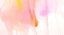 Picture of TENDER THOUGHTS