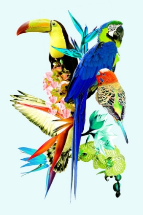 Picture of BIRDS OF PARADISE II