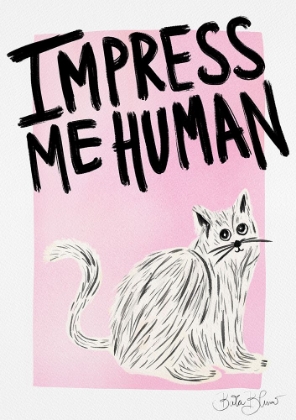 Picture of CAT OWNER - IMPRESS ME HUMAN
