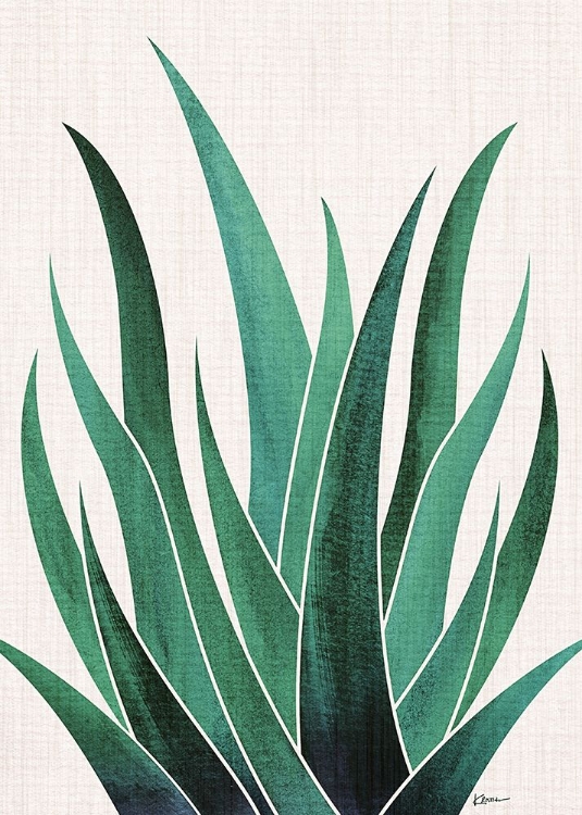 Picture of DESERT AGAVE 5X7