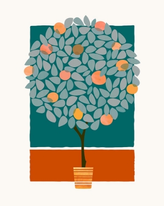 Picture of ORANGE TREE