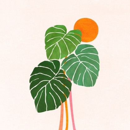 Picture of MONSTERA AND SUNSHINE 1 SQ