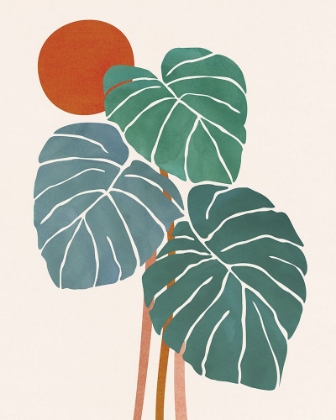 Picture of MONSTERA AND SUNSHINE