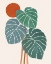 Picture of MONSTERA AND SUNSHINE