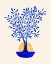 Picture of INDIGO FICUS SUNRISE