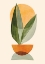 Picture of NATURE STACK 2