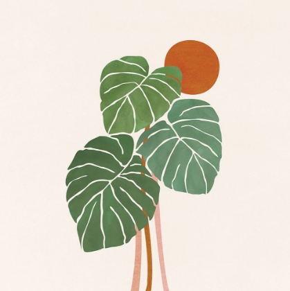 Picture of MONSTERA AND SUNSHINE 2 SQ