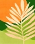 Picture of SUNNY PALM FROND 4X5