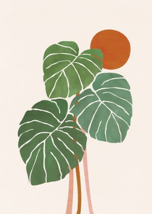 Picture of MONSTERA AND SUNSHINE 2