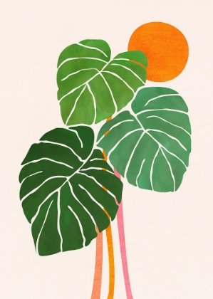 Picture of MONSTERA AND SUNSHINE 1.PNG