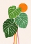 Picture of MONSTERA AND SUNSHINE 1.PNG