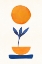 Picture of SUNNY SPROUT 2