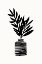Picture of BW STLL LIFE INK.PNG