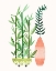 Picture of BAMBOO FERN