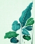 Picture of CACOPHONY 2