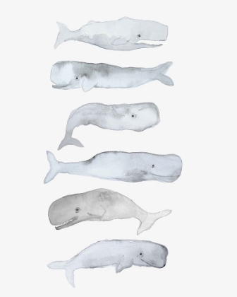 Picture of KIDS LINE WHALE ART