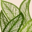Picture of GREEN TROPICS SQ