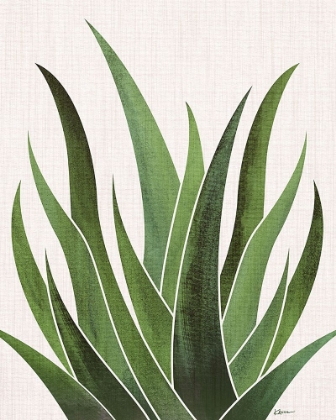 Picture of DESERT AGAVE 3