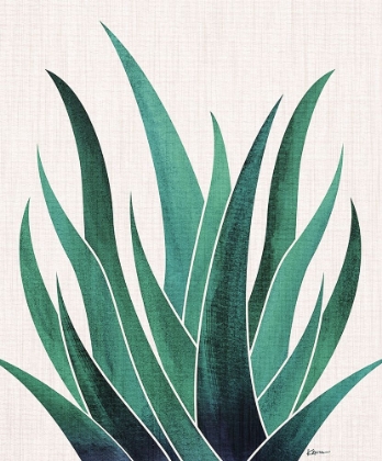 Picture of DESERT AGAVE 2