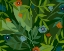 Picture of DARK TROPICAL FLORAL