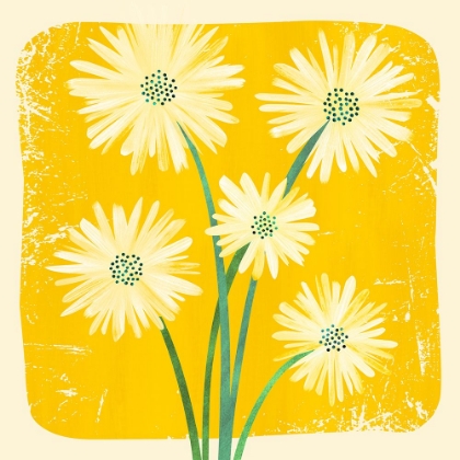 Picture of DAISY BOUQUET 2