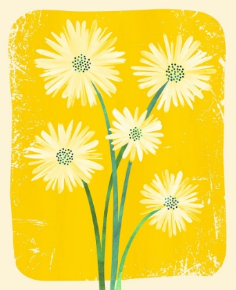 Picture of DAISY BOUQUET 1