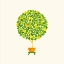 Picture of LEMON TREE TOPIARY 2