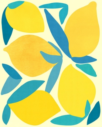 Picture of LEMON SHAPES