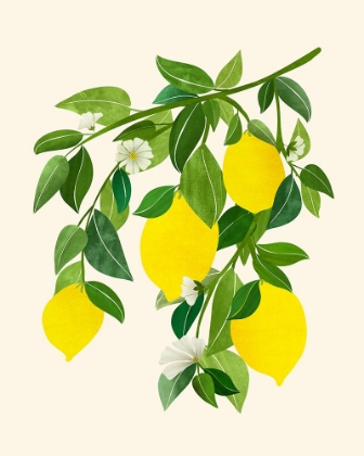 Picture of SUNNY LEMONS 4X5