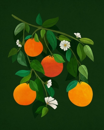 Picture of ORANGES AND BLOSSOMS NIGHT