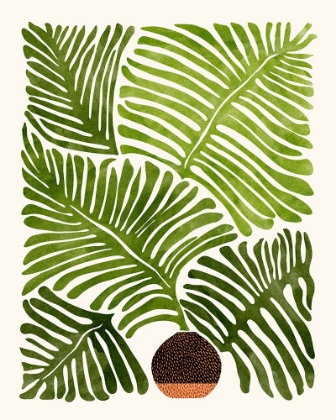 Picture of SUMMER FERN 4X5