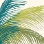 Picture of PALM SILHOUETTE 3