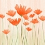 Picture of RED POPPY MEADOW 2