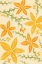 Picture of TIGER LILY.PNG