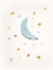 Picture of MOON A STARS