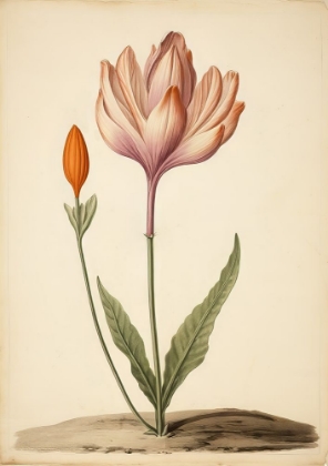 Picture of VINTAGE FLOWER