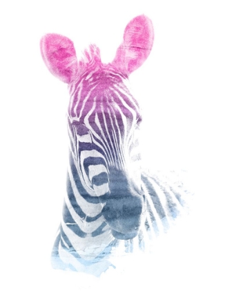 Picture of 0006 ANIMAL WATERCOLOR